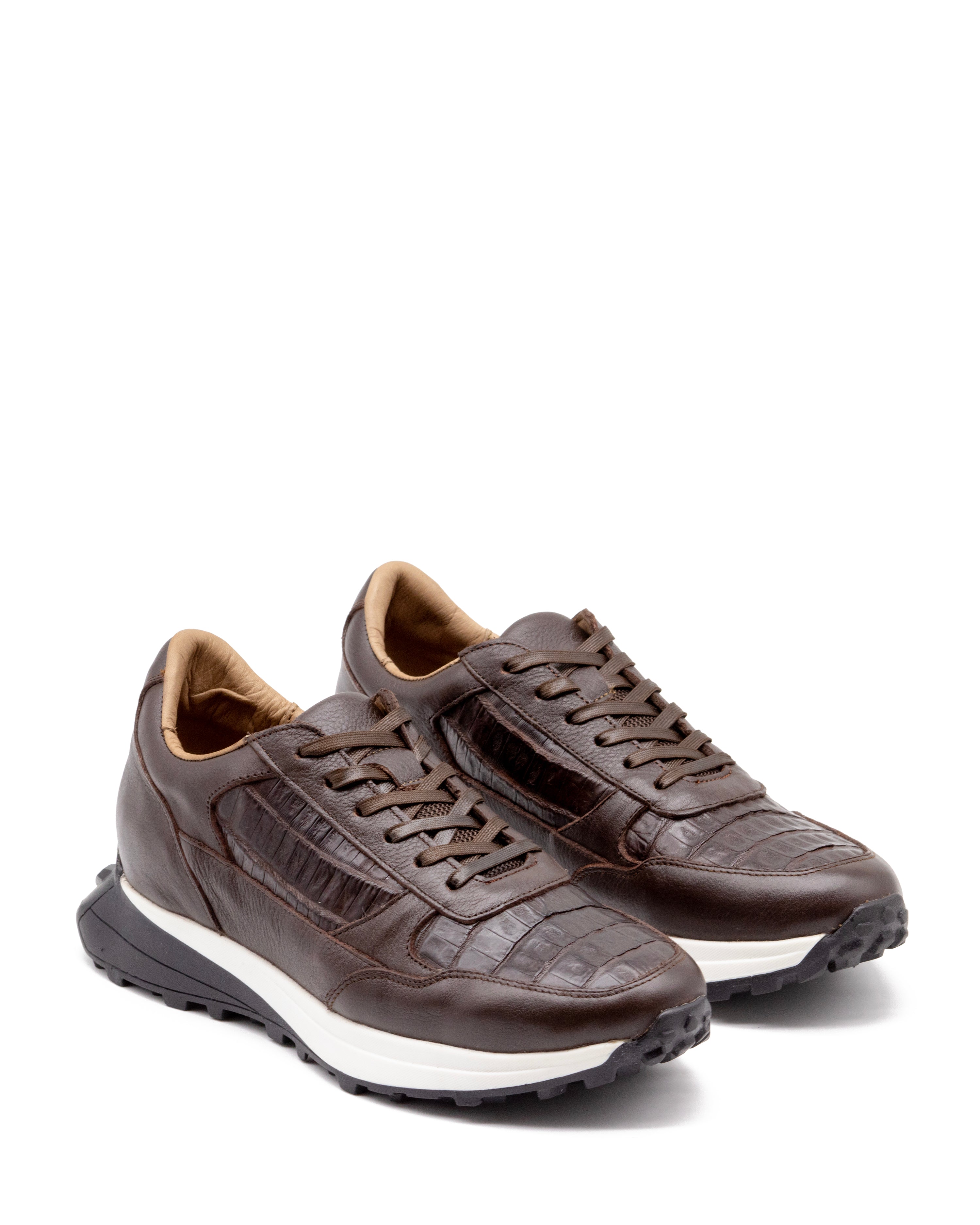 Sneaker Raptor Caimán Café