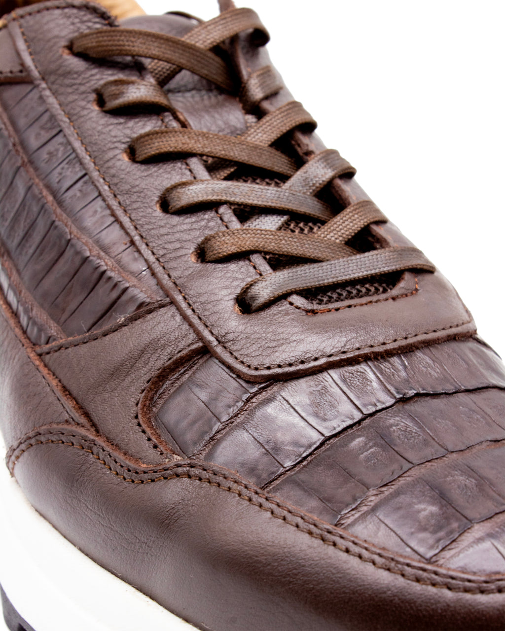 Sneaker Raptor Caimán Café